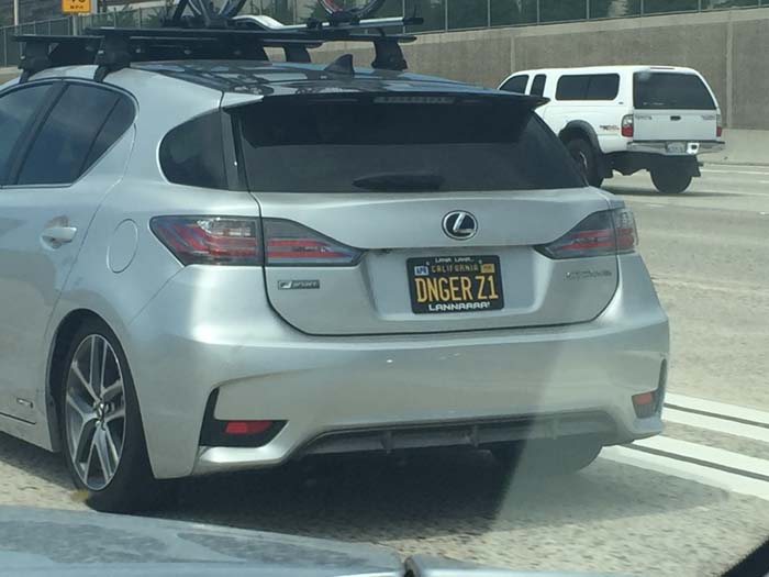DNGERZ1 vanity license plate meaning Danger Zone