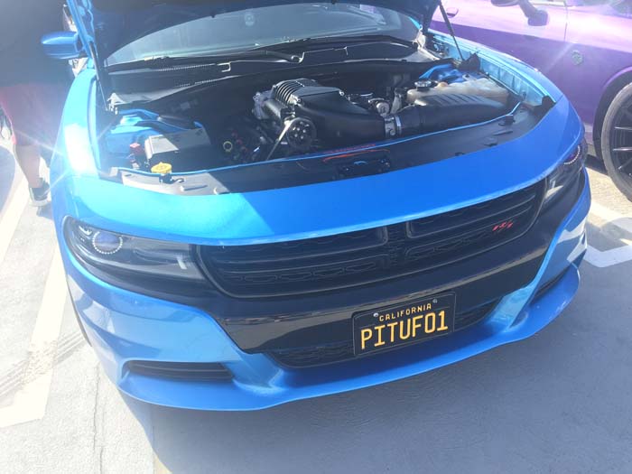PITUF01 vanity license plate meaning Pitiful