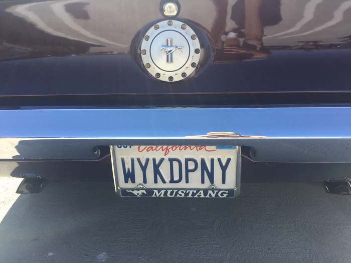 WYKDPNY vanity license plate meaning Wicked Pony