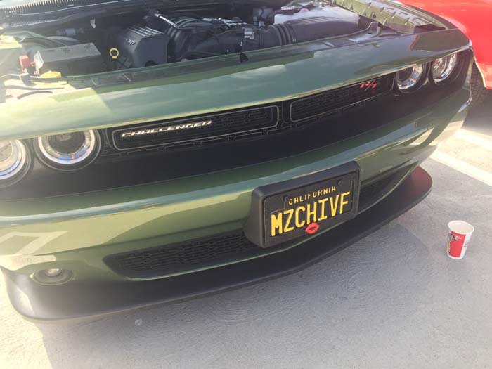 MZCHIVF vanity license plate meaning Mischief