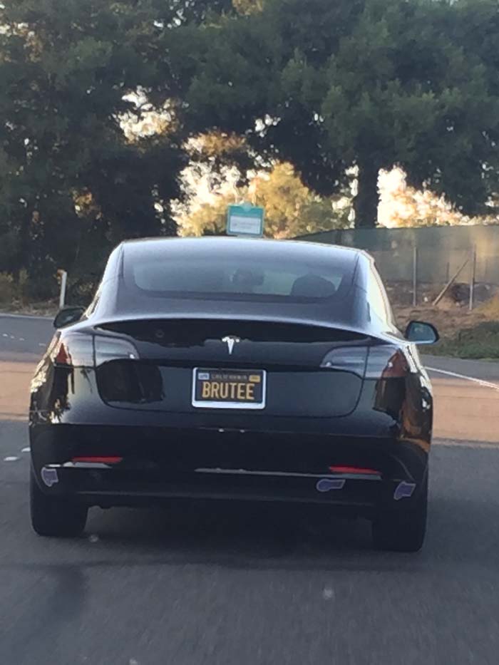 BRUTEE vanity license plate meaning Brutee
