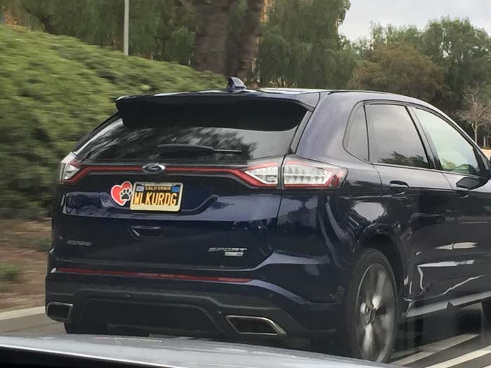 WLKURDG vanity license plate meaning WL Courage