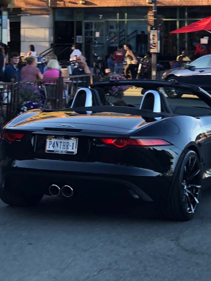 P4NTHR1 vanity license plate