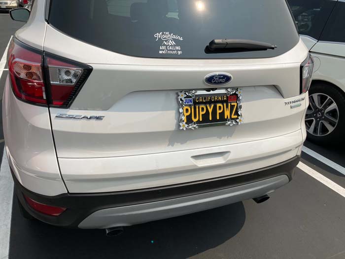 PUPYPWZ vanity license plate meaning Puppy Paws