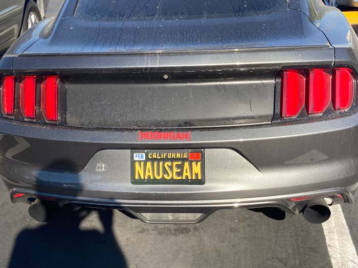 NAUSEAM vanity license plate meaning Sick!