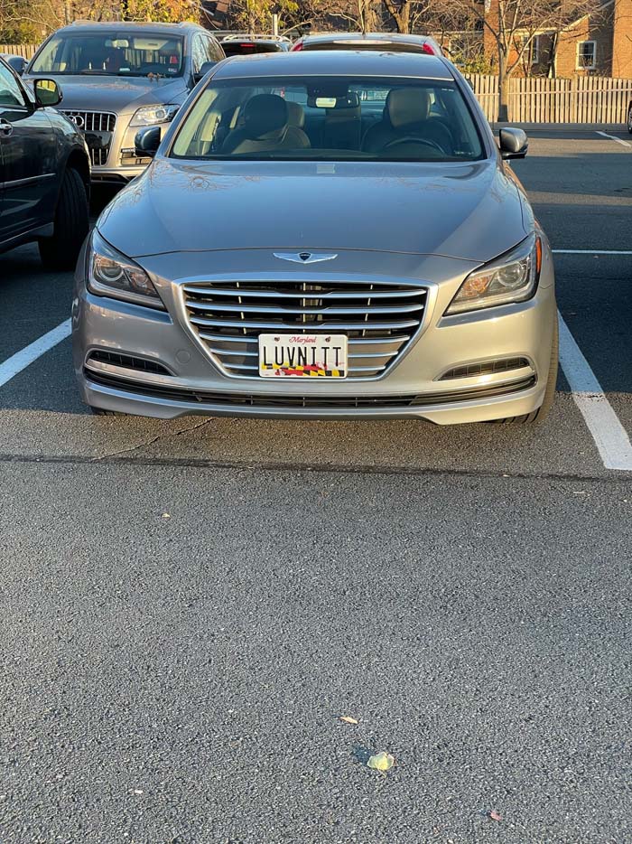 LUVNITT vanity license plate meaning Love'n It