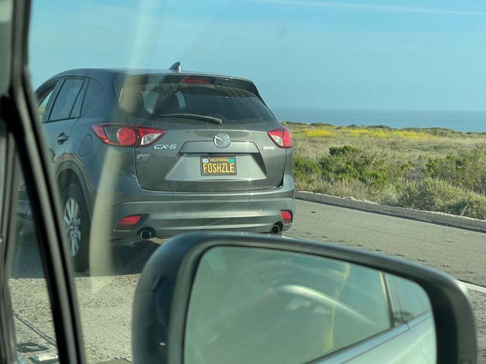 FOSHZLE vanity license plate