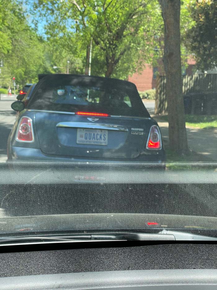 QUACKS vanity license plate meaning Quacks