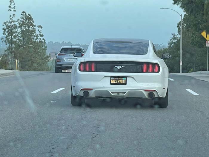 NRSPNUT vanity license plate