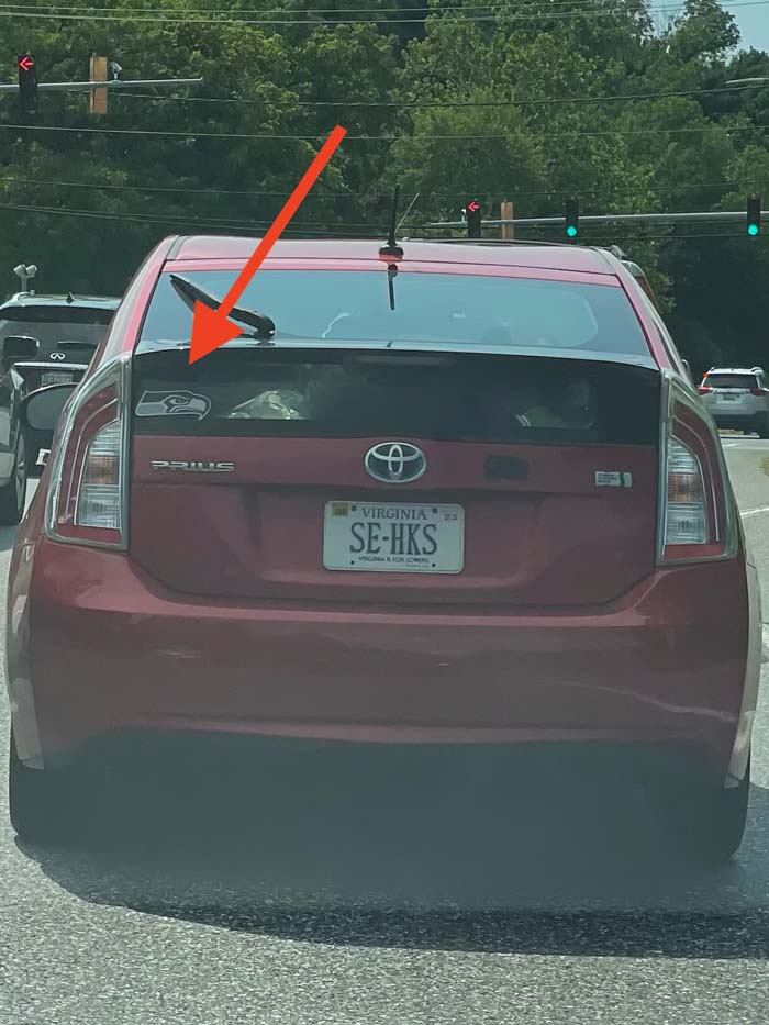 SEHKS vanity license plate