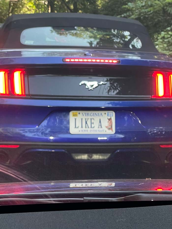 LIKEA vanity license plate meaning Like A (horse)