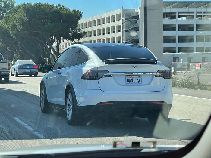 MGNTISE vanity license plate