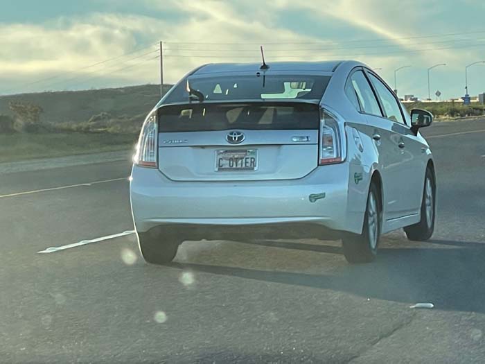 COTTER vanity license plate