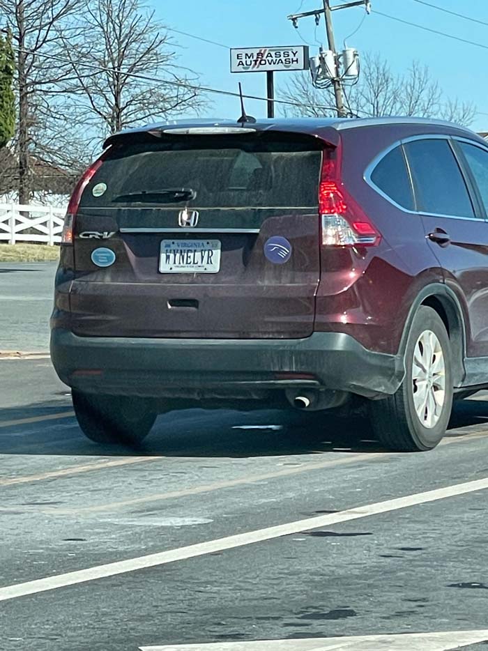 WYNELVR vanity license plate