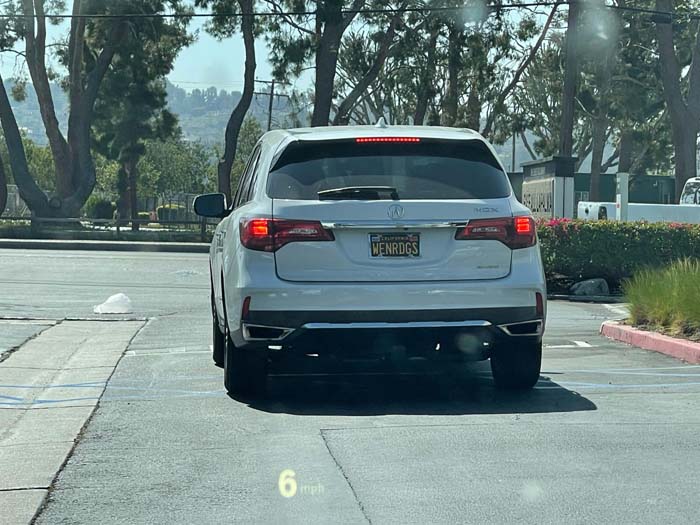 WENRDGS vanity license plate