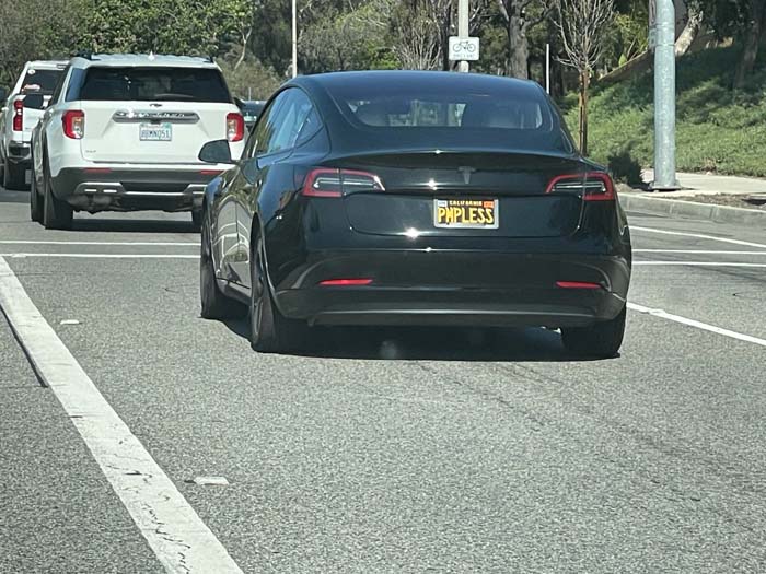 PMPLESS vanity license plate meaning Pimpless