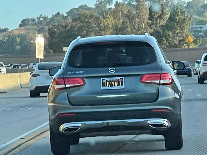 LUVYALL vanity license plate