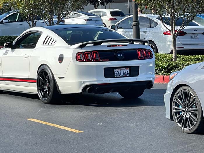 50HDNA vanity license plate meaning (Mustang) 5.0 (Liter) DNA