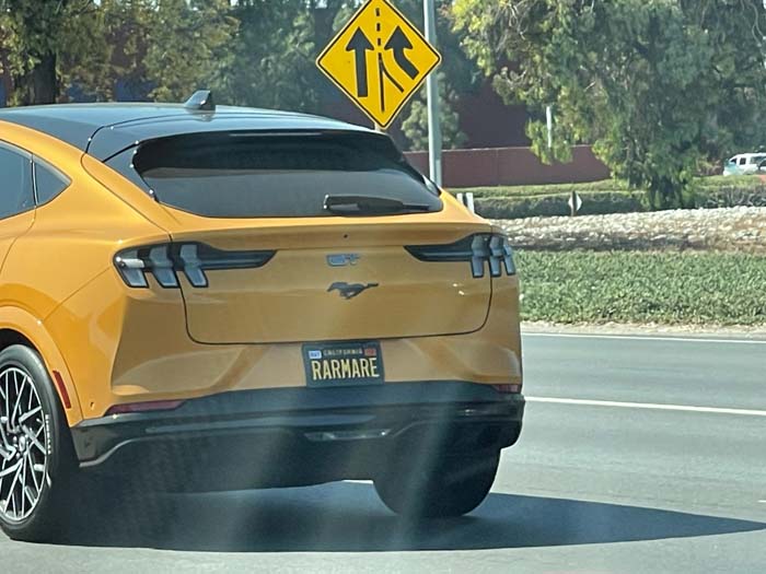 RARMARE vanity license plate meaning Rare Mare (horse)