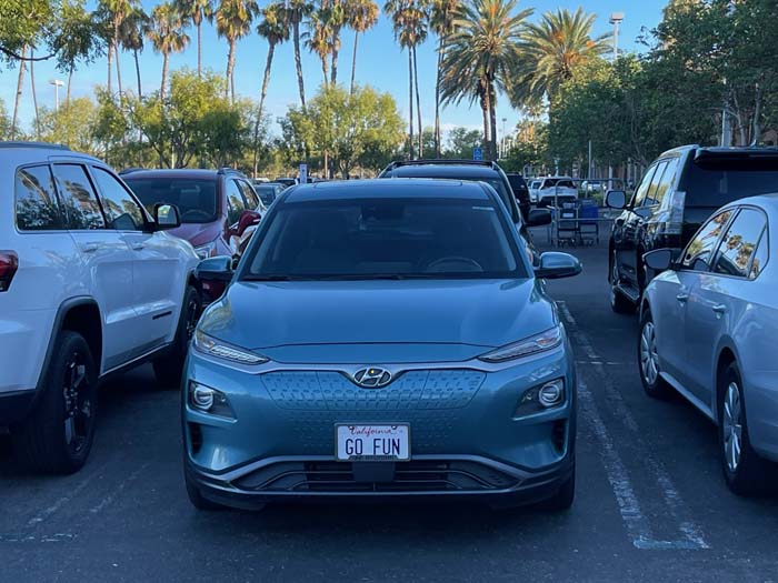 GOFUN vanity license plate meaning Go Fun