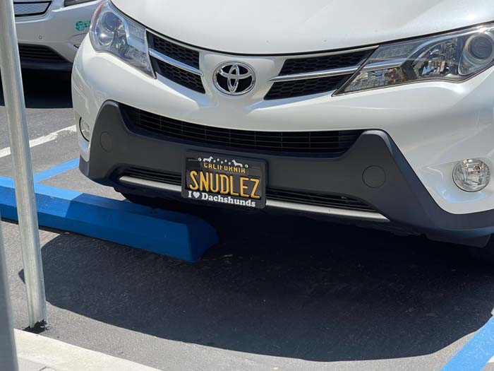 SNUDLEZ vanity license plate meaning Snoodles