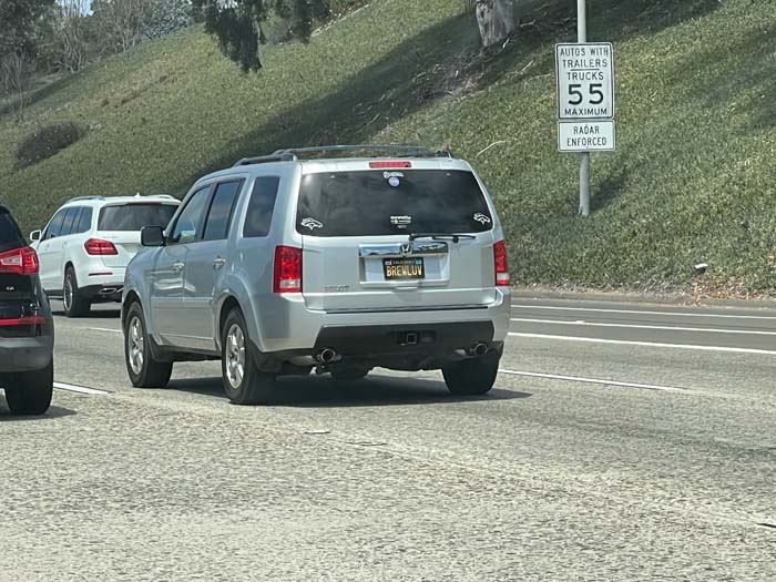 BREWLUV vanity license plate meaning Brew Love