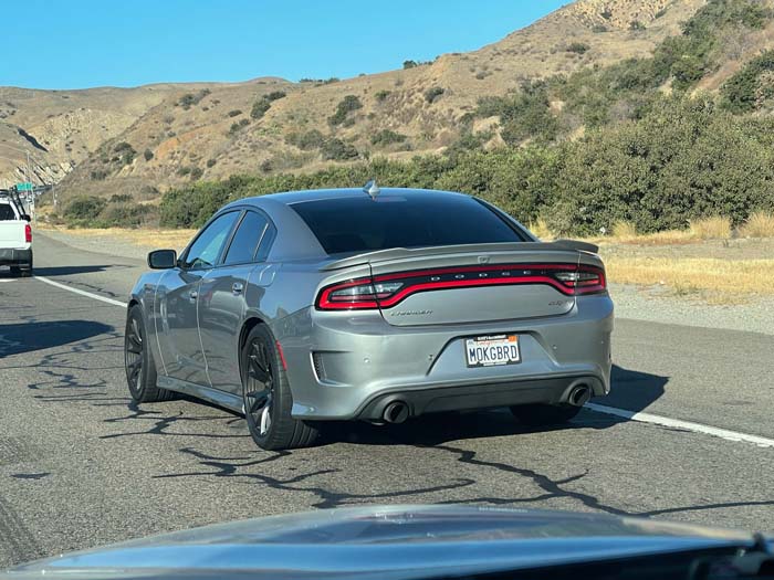 MOKGBRD vanity license plate meaning Mockingbird