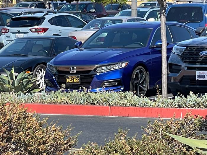 XQSEMEE vanity license plate meaning Excuse Me