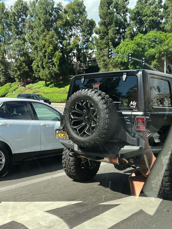 AMONSTR vanity license plate meaning A Monster