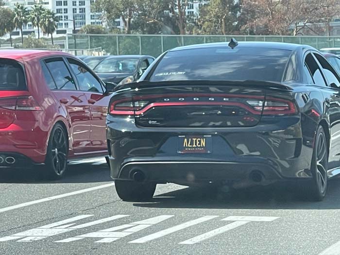 N3I7V vanity license plate