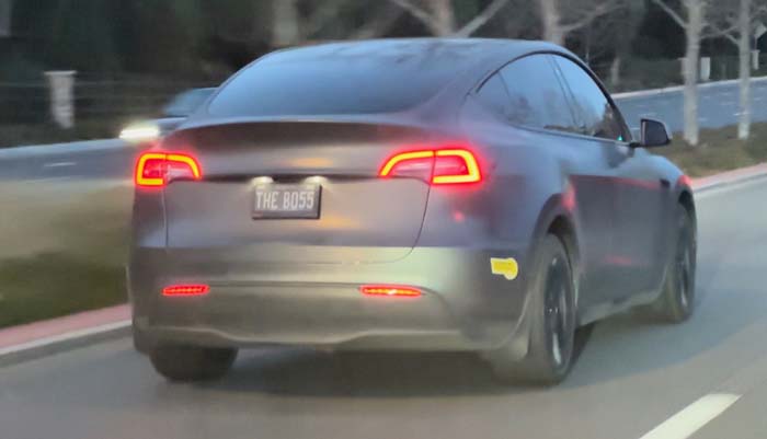 THEBO55 vanity license plate