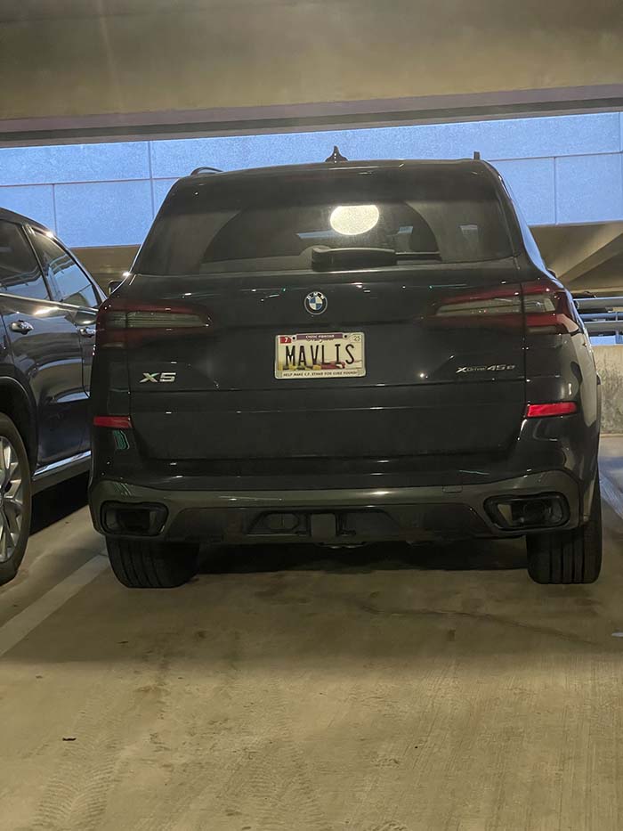 MAVLIS vanity license plate meaning Marvelous