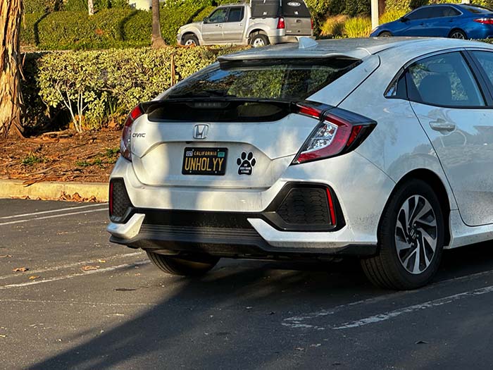 UNHOLYY vanity license plate meaning Unholy