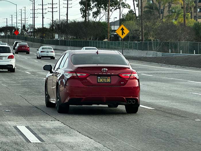 LUCYLOO vanity license plate meaning Lucy Loo