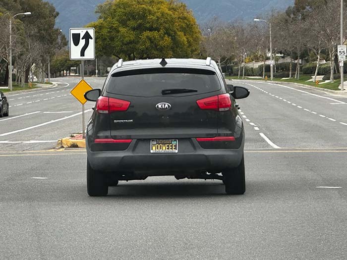 WOOWEEE vanity license plate meaning Wowee!
