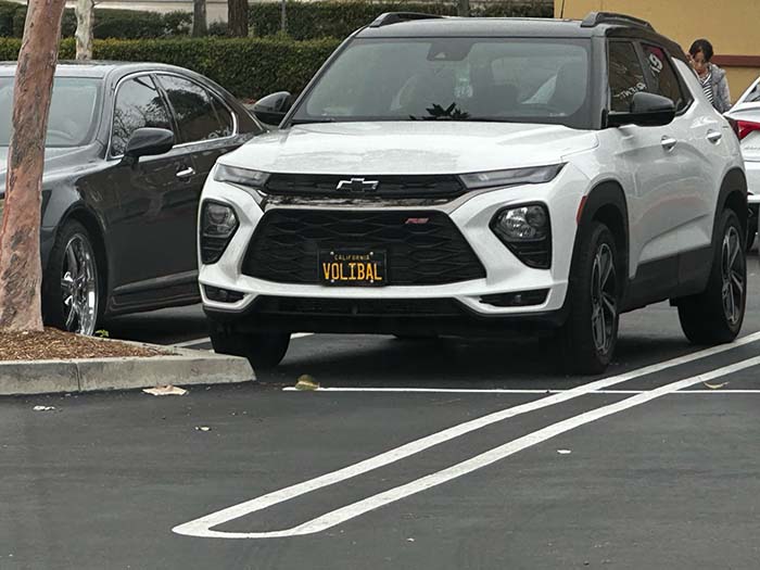VOLIBAL vanity license plate meaning Volleyball