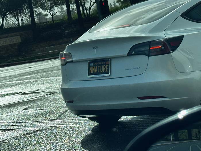 NMATURE vanity license plate meaning Immature