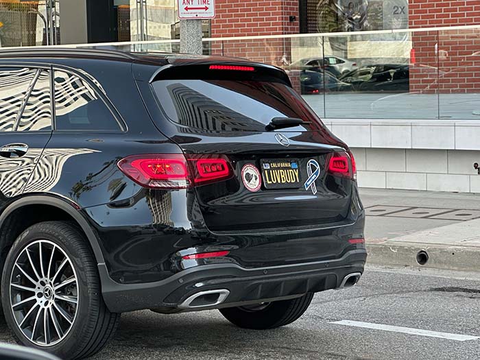 LUVBUDY vanity license plate meaning Love Buddy
