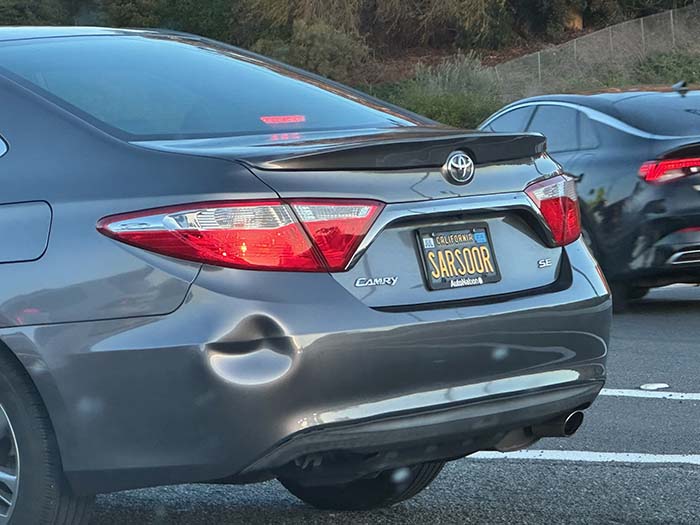 SARSOOR vanity license plate meaning Cockroach