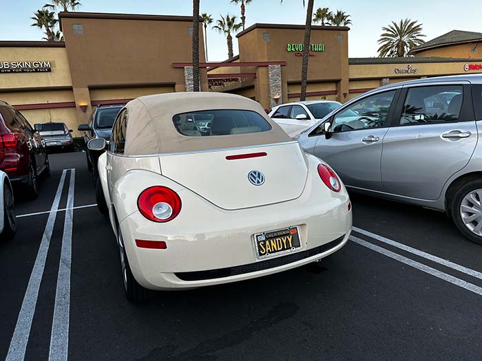 SANDYY vanity license plate