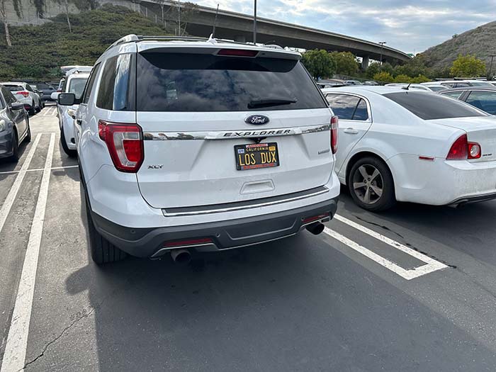 LOSDUX vanity license plate meaning The (Mighty) Ducks