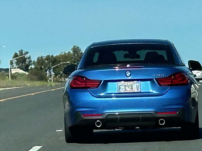FLAV vanity license plate meaning Flavor