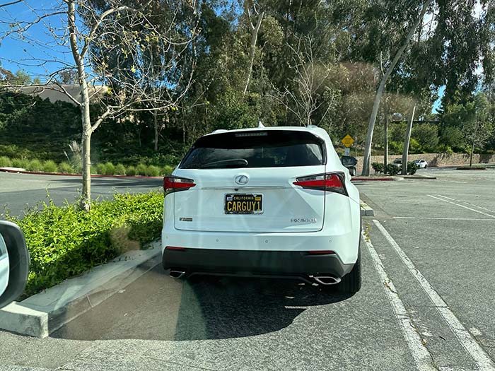 CARGUY1 vanity license plate meaning Car Guy 1