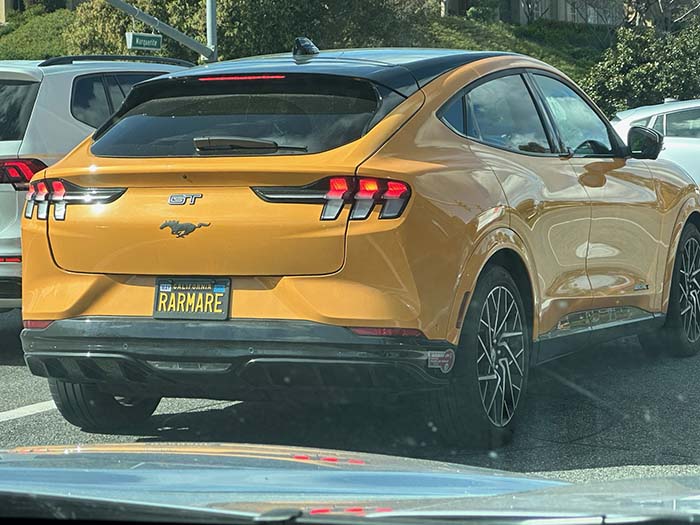 RARMARE vanity license plate meaning Rare Mare (horse)