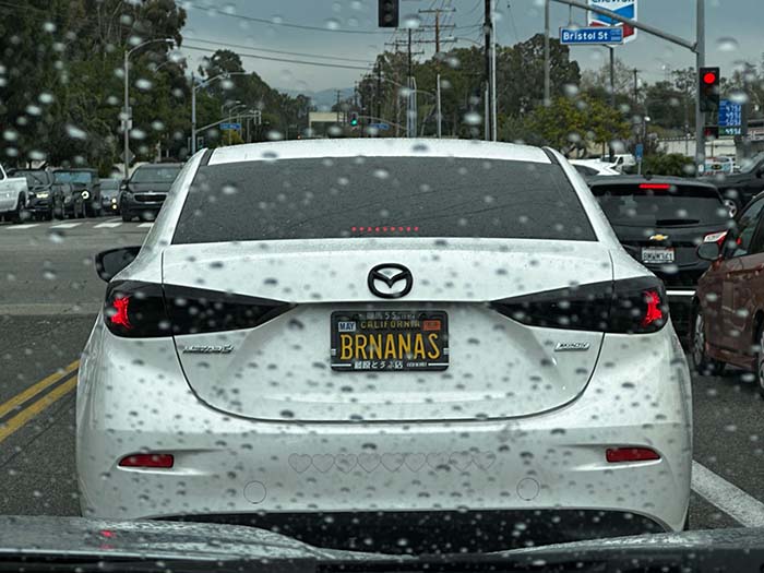 BRNANAS vanity license plate meaning Bananas