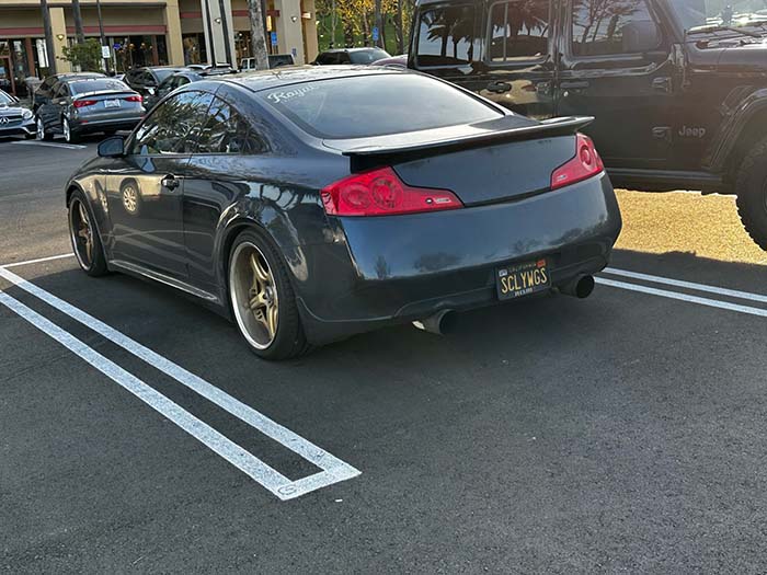 SCLYWGS vanity license plate meaning Scallywag