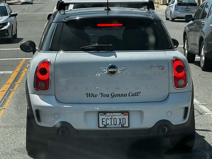 ECTOXO vanity license plate meaning Ecto Love (Ghostbusters)