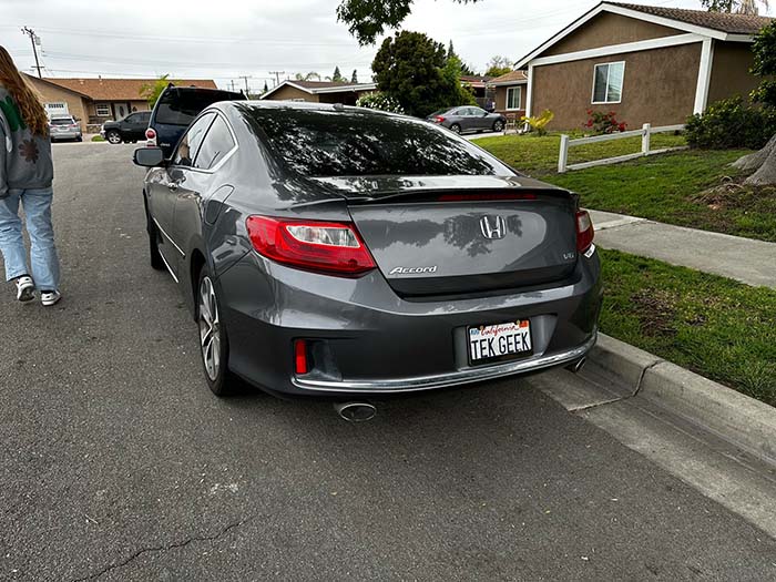 TEKGEEK vanity license plate meaning Tech Geek