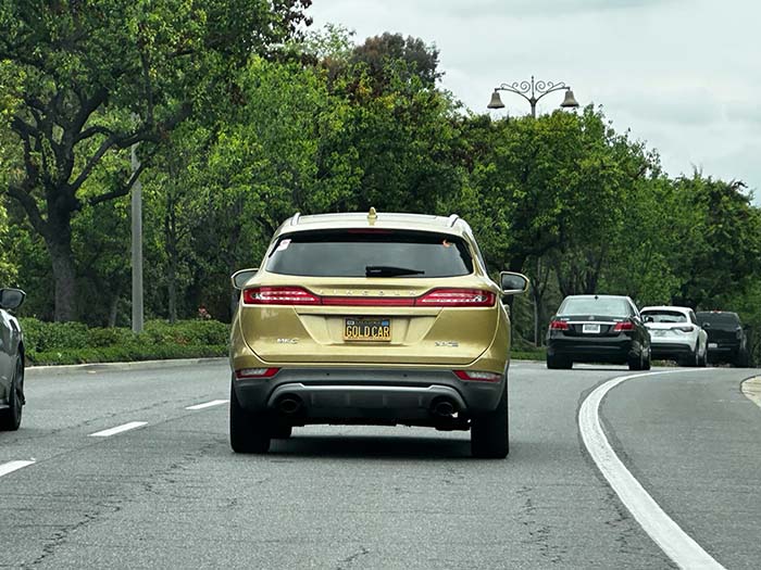 GOLDCAR vanity license plate meaning Gold Car