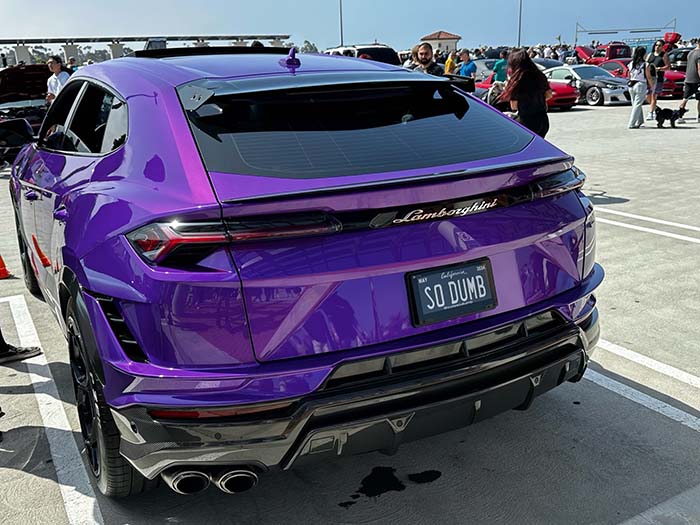 SODUMB vanity license plate
